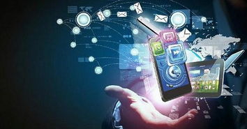 实践是检验真理的唯一标准 以移动互联网研发与维护赋能会展业转型